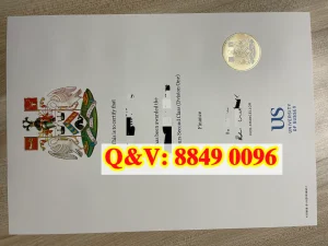 英国萨塞克斯大学文凭Diploma from University of ...