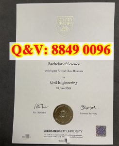 利兹贝克特大学：中国学生生源规模与国内合作办学...