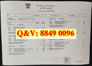 新加坡国立大学成绩单学分规则与热门专业解读