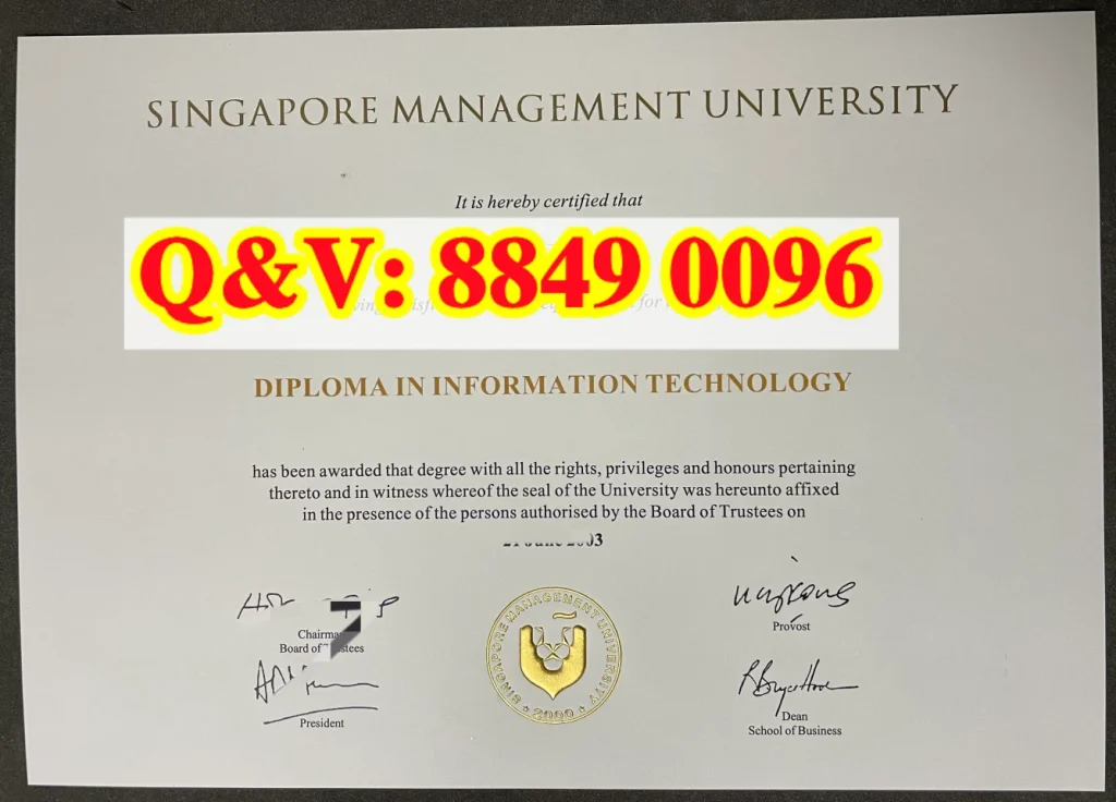新加坡管理大学专科文凭，SMU信息技术专科证书，新加坡 IT专科文凭