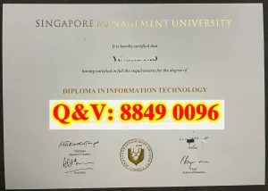 新加坡管理大学毕业证信息技术文凭解读｜新加坡管...