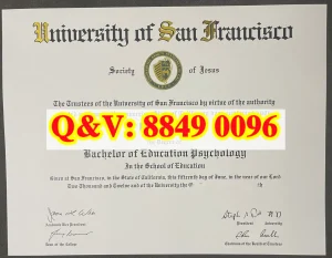 University of San Francisco diploma｜美国旧金山...