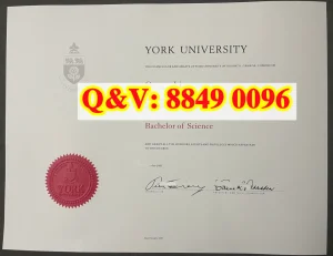 加拿大约克大学毕业证文凭防伪解析｜York Universi...