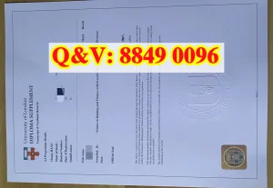 伦敦大学文凭补充说明Diploma Supplement学业成绩...
