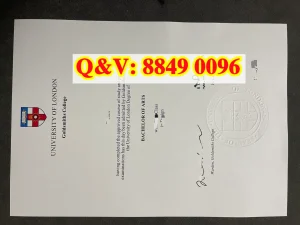 伦敦大学金史密斯学院文凭Diploma from Goldsmiths...