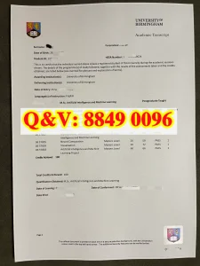 伯明翰大学成绩单人工智能与机器学习理学硕士｜Uni...