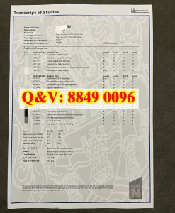 北安普顿大学金融学理学学士官方成绩单（含学分分...