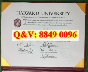 哈佛大学毕业证经济学 PhD 博士学位证书｜Harvard ...