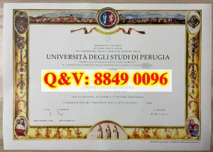 意大利佩鲁贾大学毕业证｜意大利语言与文化硕士学...