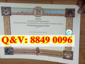 博洛尼亚大学2026：千年学府为中国留学生开辟新通道