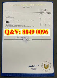 新加坡管理大学成绩单解读：课程结构与学业表现