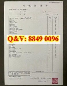 东京大学大学院成绩单全解析｜日本顶尖法学硕士学...