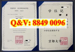 日本京都大学学位记完整解析｜实拍京都大学毕业证K...