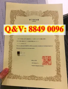 和歌山大学交换留学修了认定证书全解析｜和歌山大...