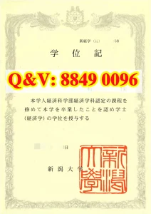 新潟大学博士宣传片8月上线：聚焦清酒研究、脑科学...