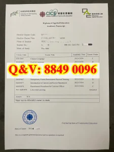香港明爱社区学院应用教育文凭成绩单解读：课程结...