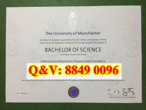 曼彻斯特大学国际商务金融与经济理学荣誉本科毕业...