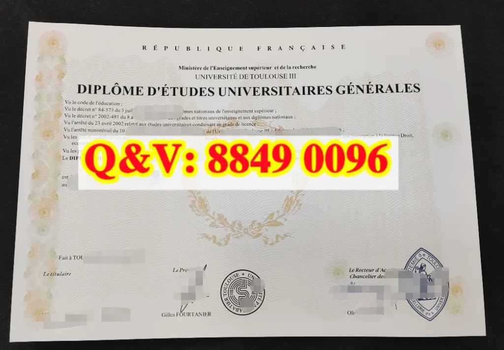 本文件为法国图卢兹第三大学旧学制 DEUG 大学普通学习文凭，经济管理企业管理方向，属于法国 LMD 改革前两年制本科基础阶段文凭，非完整三年制 Licence 学士学位文凭