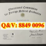 ECFMG 外国医学毕业生官方医师资格认证证书｜美国 USMLE 全套考试通过凭证