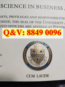 美国宾州匹兹堡大学 Pitt 社会工作 MSW 硕士官方毕...