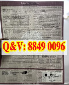 印第安纳大学伯明顿凯利商学院商科本科官方成绩单...