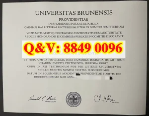 美国布朗大学毕业证文凭解读：科学方向常春藤本科...