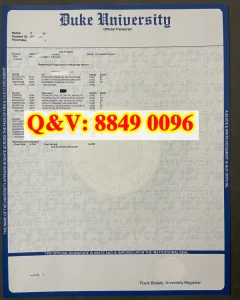 美国杜克大学成绩单全解析｜Duke Official Transcr...
