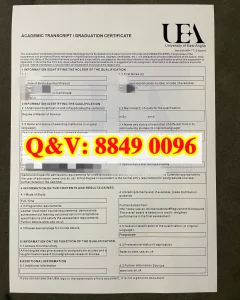 英国东安格利亚大学成绩单｜University of East An...
