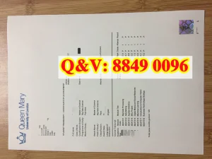 伦敦玛丽女王大学大数据科学理学硕士成绩单完整解...