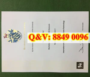 2010年伯明翰城市大学互联网与通信技术二级二等理...