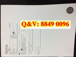 实拍2018年英国埃克塞特大学成绩单The University ...