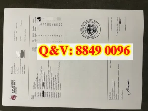 英国德蒙福特大学成绩单｜德蒙福特大学优势学科明细
