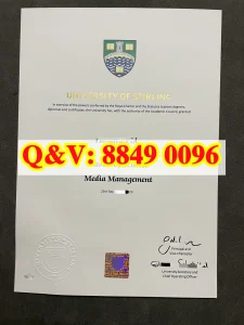 英国斯特灵大学文凭毕业证Diploma from University...
