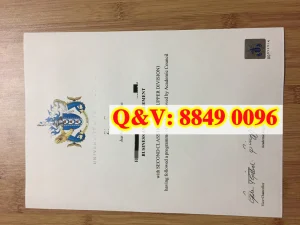 英国朴茨茅斯大学文凭Diploma from University of ...
