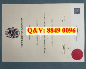 英国白金汉大学文凭Diploma from University of Bu...