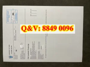 英国约克大学成绩单University of York transcript...