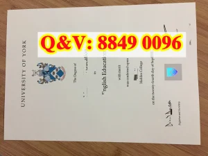 英国约克大学文凭Diploma from University of York...