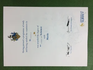 英国萨里大学文凭Diploma from University of Surr...