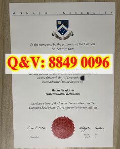莫纳什大学国际关系文学士：在全球政治变局中塑造...