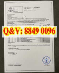 谢菲尔德大学电力系统与自动化工程硕士成绩单｜202...