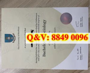 谢菲尔德大学社会学一等荣誉本科毕业证完整解析｜U...
