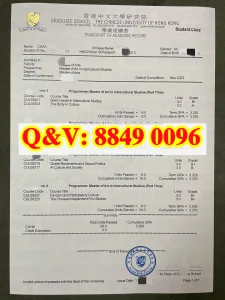 香港中文大学成绩单解读：跨文化研究文学硕士的学...