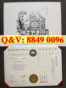 香港浸会大学毕业证中医学硕士英繁双语毕业证书｜2...
