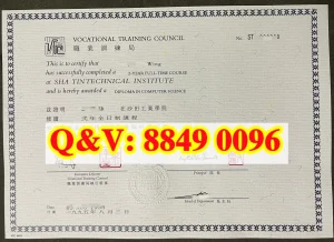 1995年香港职业训练局VTC沙田工业学院文凭证书版式...