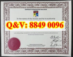 马来西亚国民大学 UKM 荣誉工商管理学士 BBA 英文...