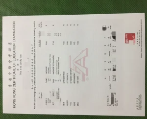 2003年香港中学会考证书（HKCEE）全面介绍｜Hong‑K...