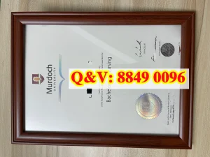 澳大利亚莫道克大学护理学学士毕业证完整解析｜Mur...