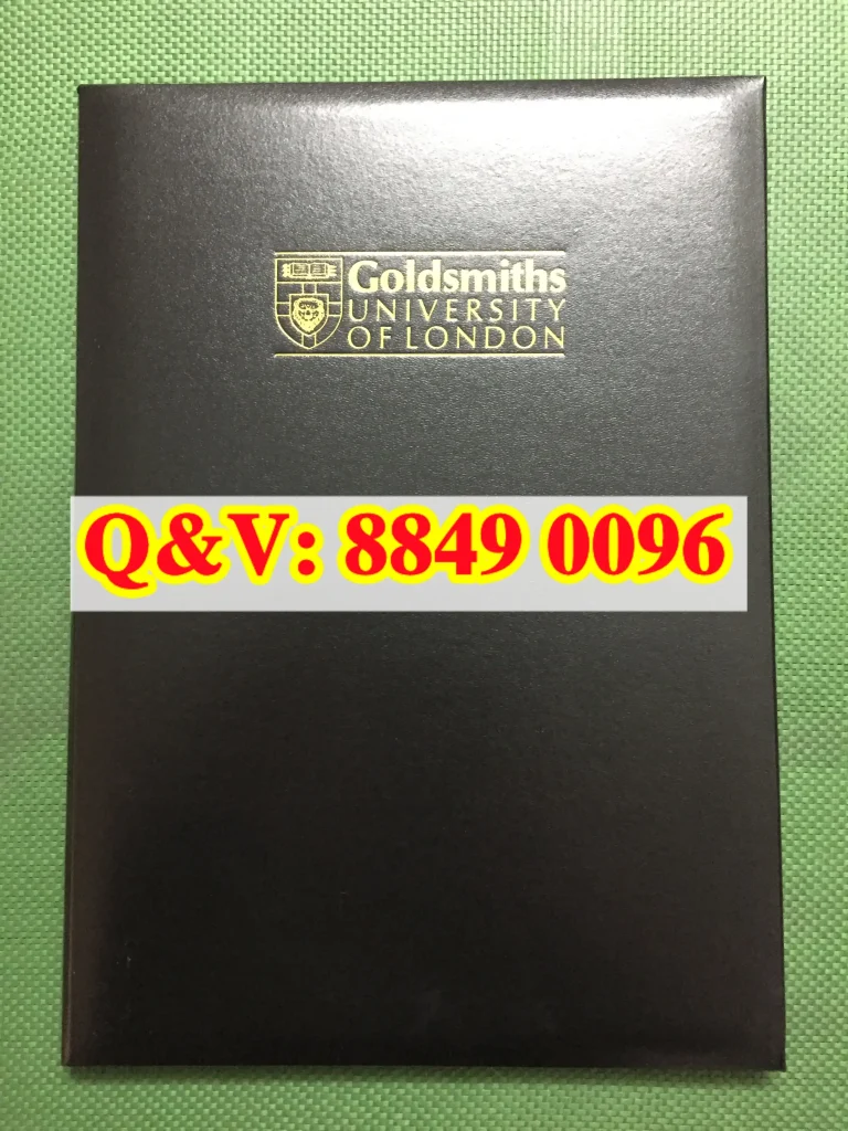 伦敦大学金史密斯学院文凭外壳Goldsmiths, University of London diploma cover