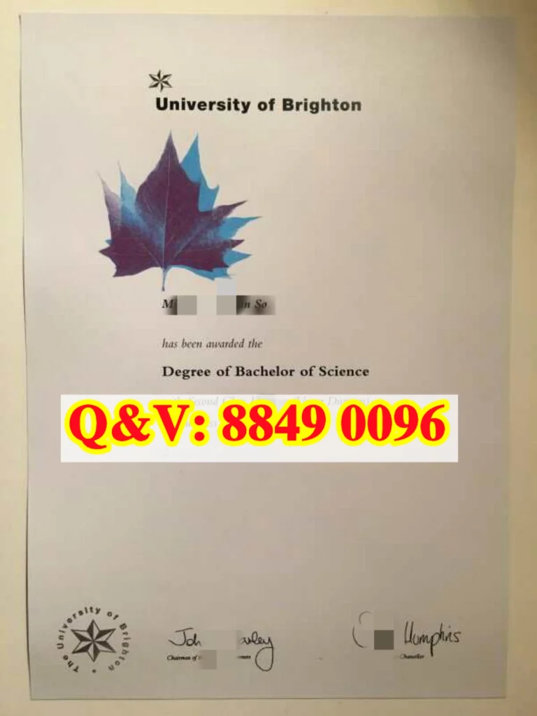 英国布莱顿大学文凭毕业证，Diploma from University of Brighton United Kingdom