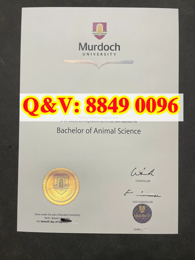 澳洲莫道克大学文凭毕业证学位证Diploma from Murdoch University